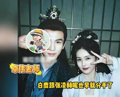 白鹿爆料结局视频播放时间,揭秘视频播放时间背后的惊人真相